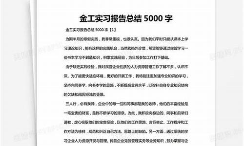 实习报告5000字